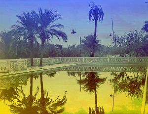 Colomb-bechar 507- Piscine